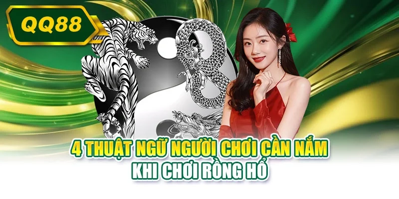 4 thuật ngữ người chơi cần nắm khi chơi rồng hổ